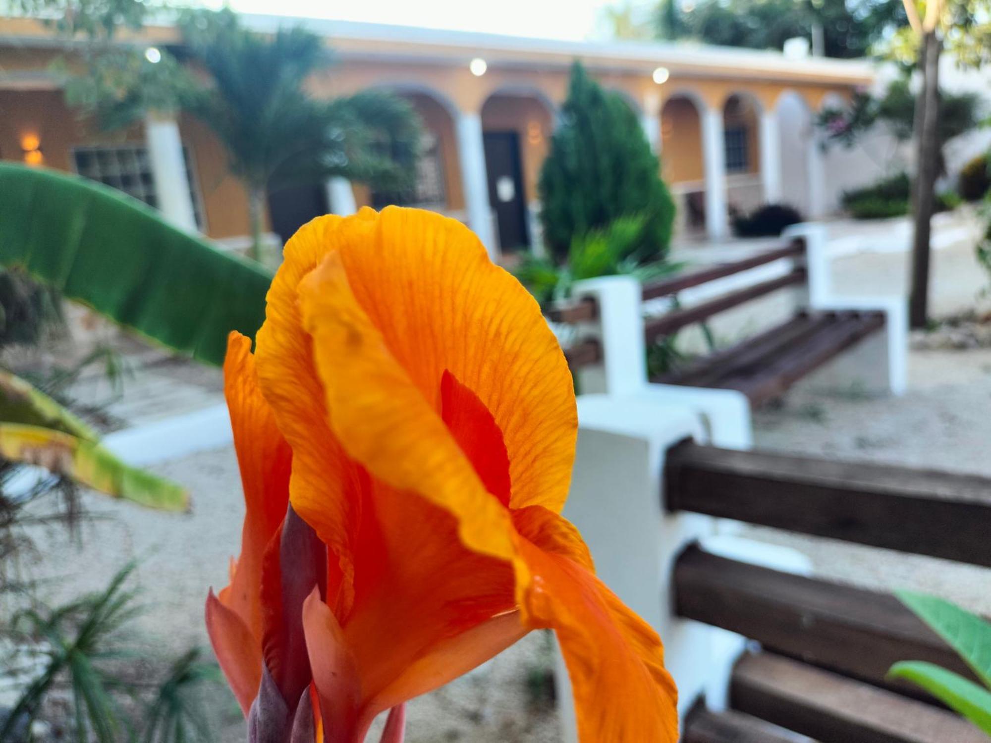 Villa Gabriela Celestun -Hotel & Restaurant エクステリア 写真