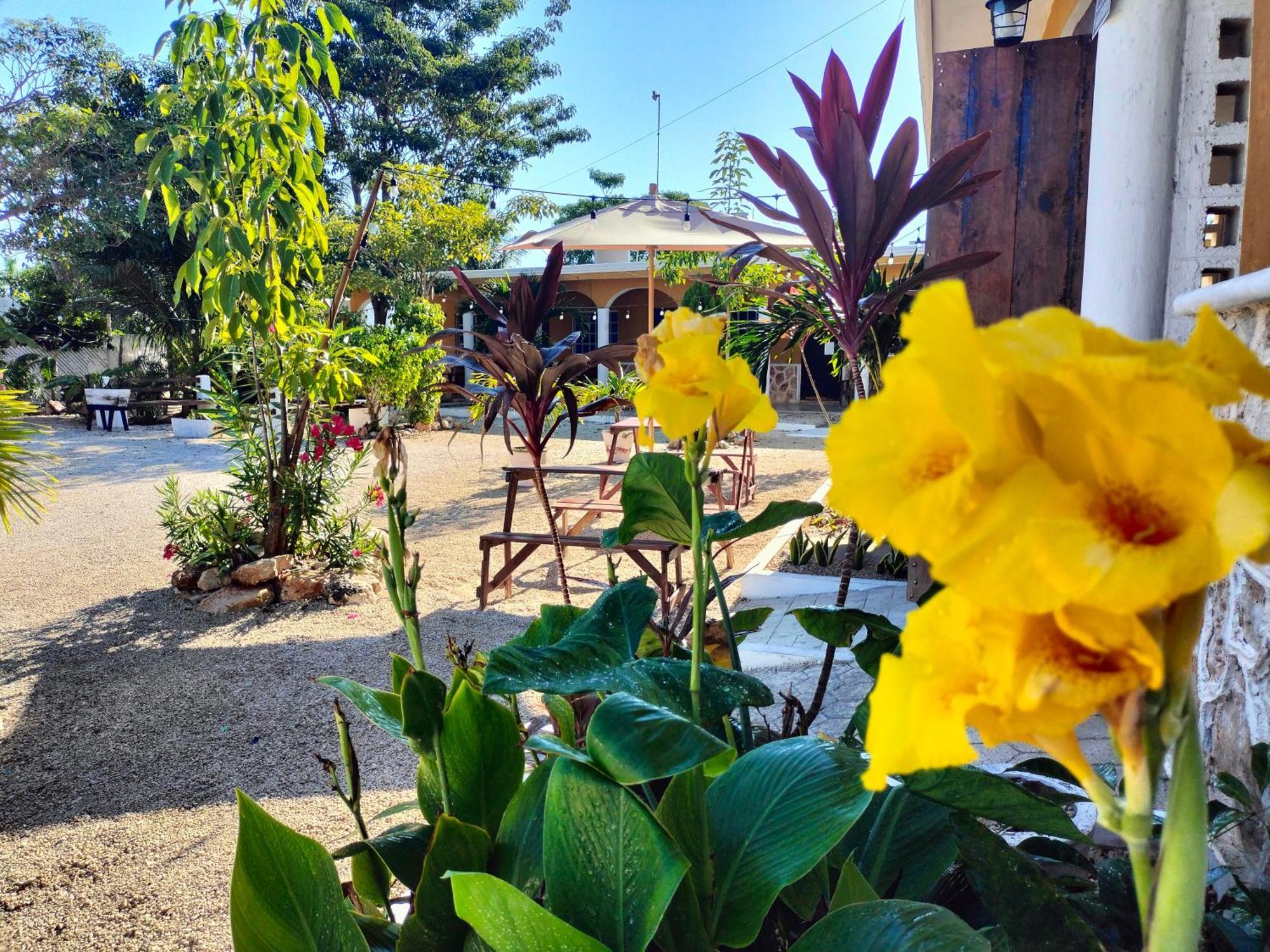 Villa Gabriela Celestun -Hotel & Restaurant エクステリア 写真